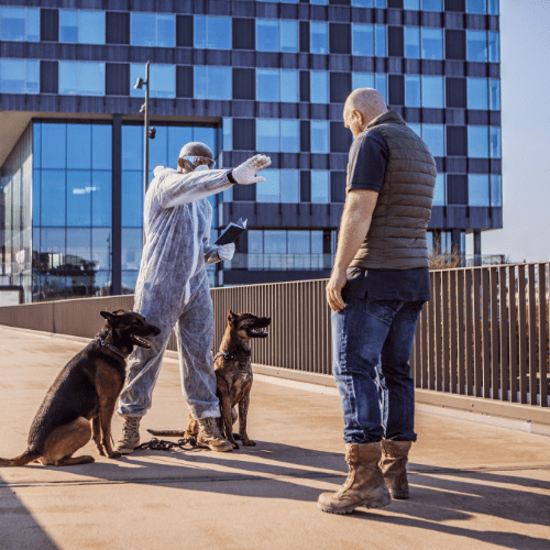 Security for Hotels & Hospitality Businesses