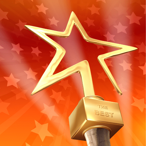 Leisure Guard Security wins international award