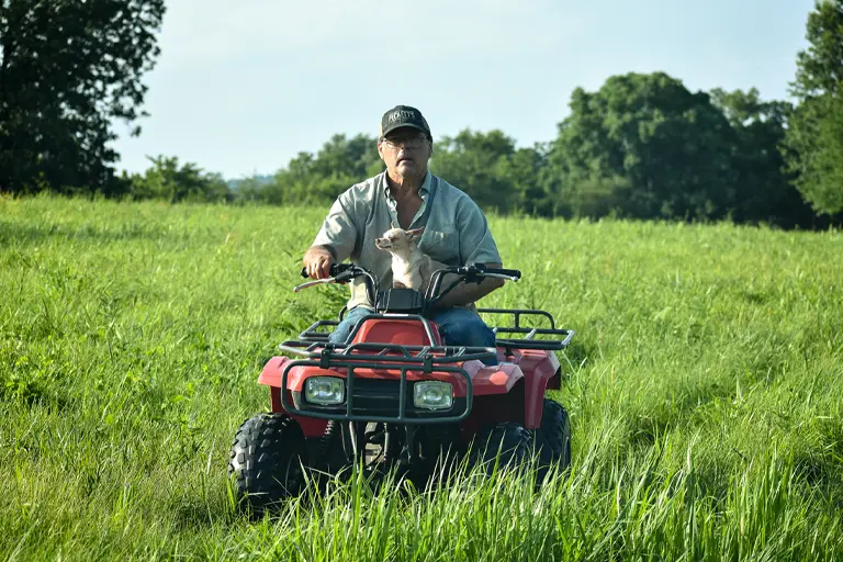 Rural farm crime in Wales